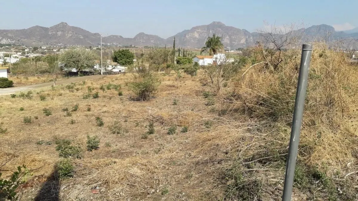 Terreno Spot2