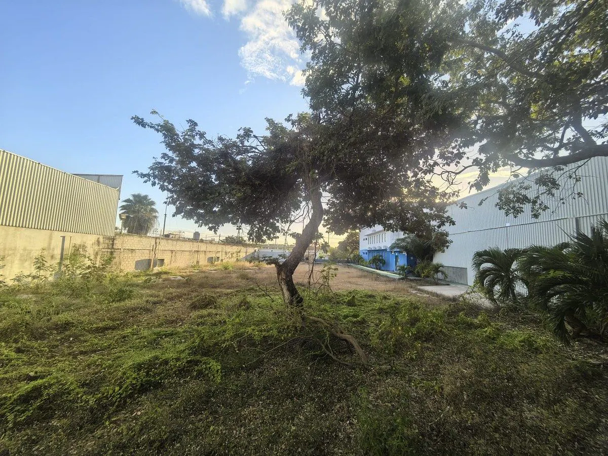 Terreno Spot2