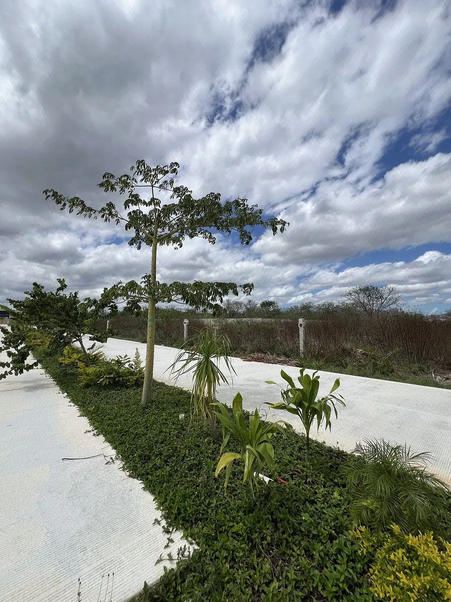 Terreno Spot2