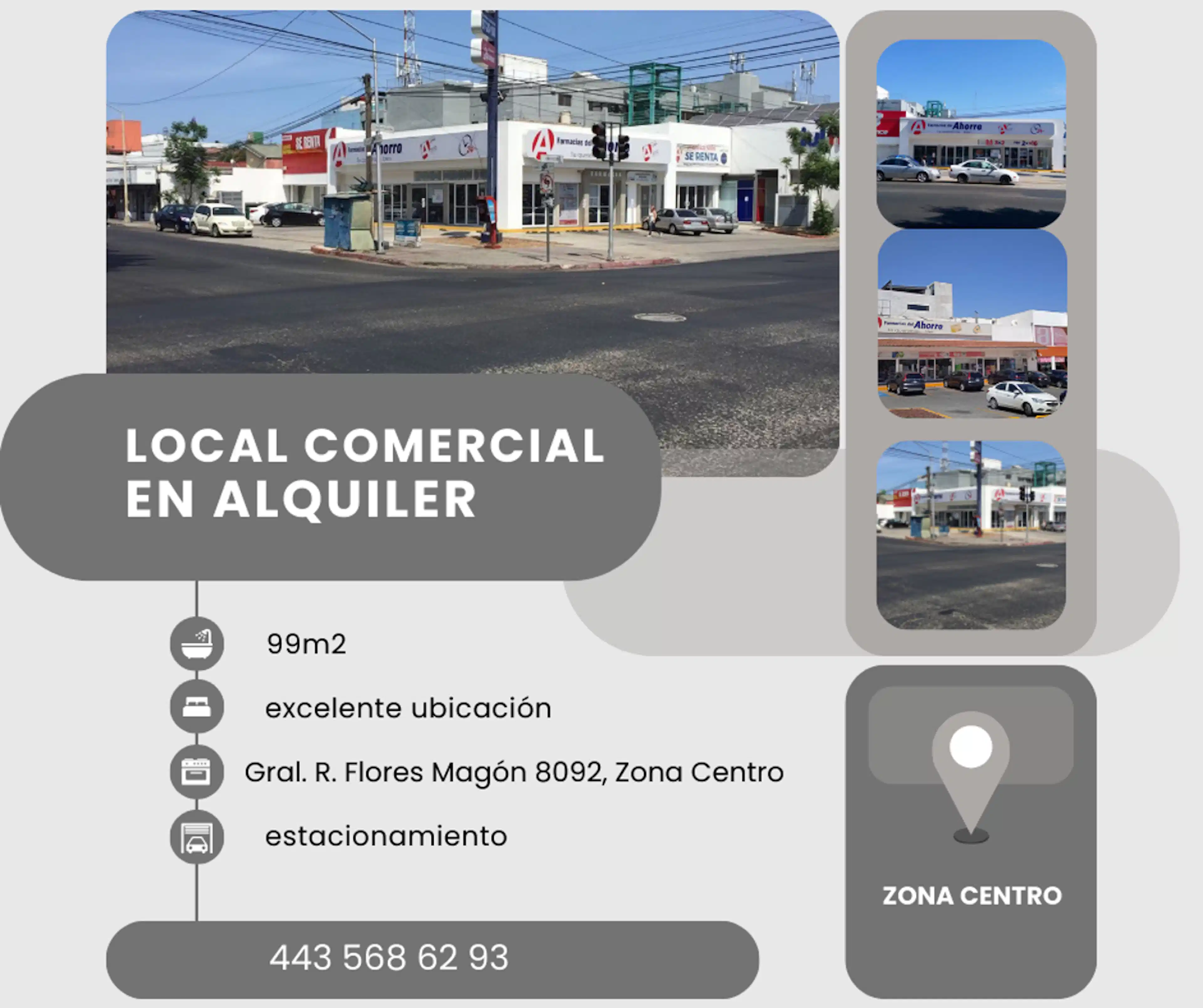 Gral. Ricardo Flores Magon 8092
