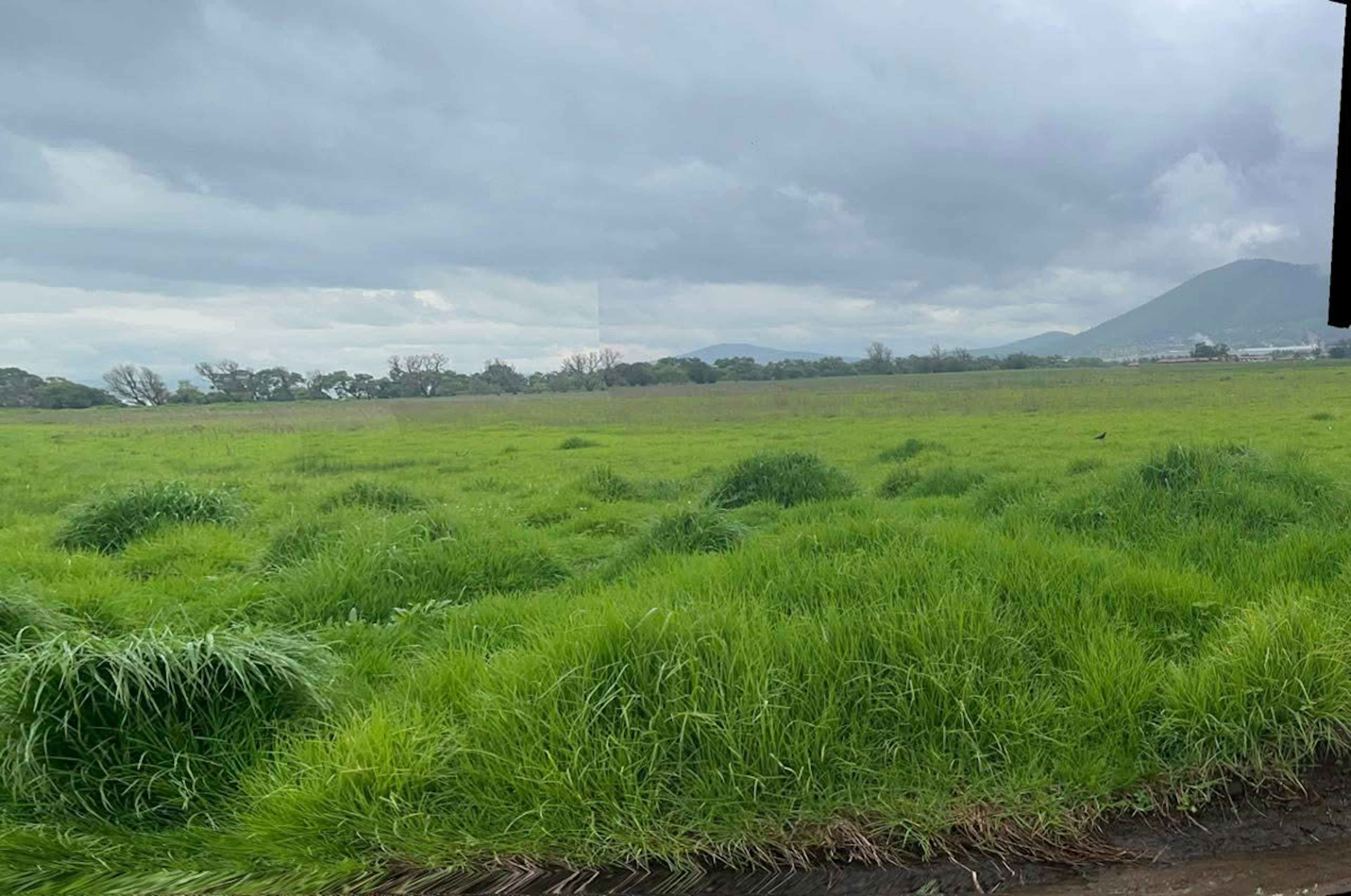 Terreno En Venta En Las Mercedes, Atlacomulco, México