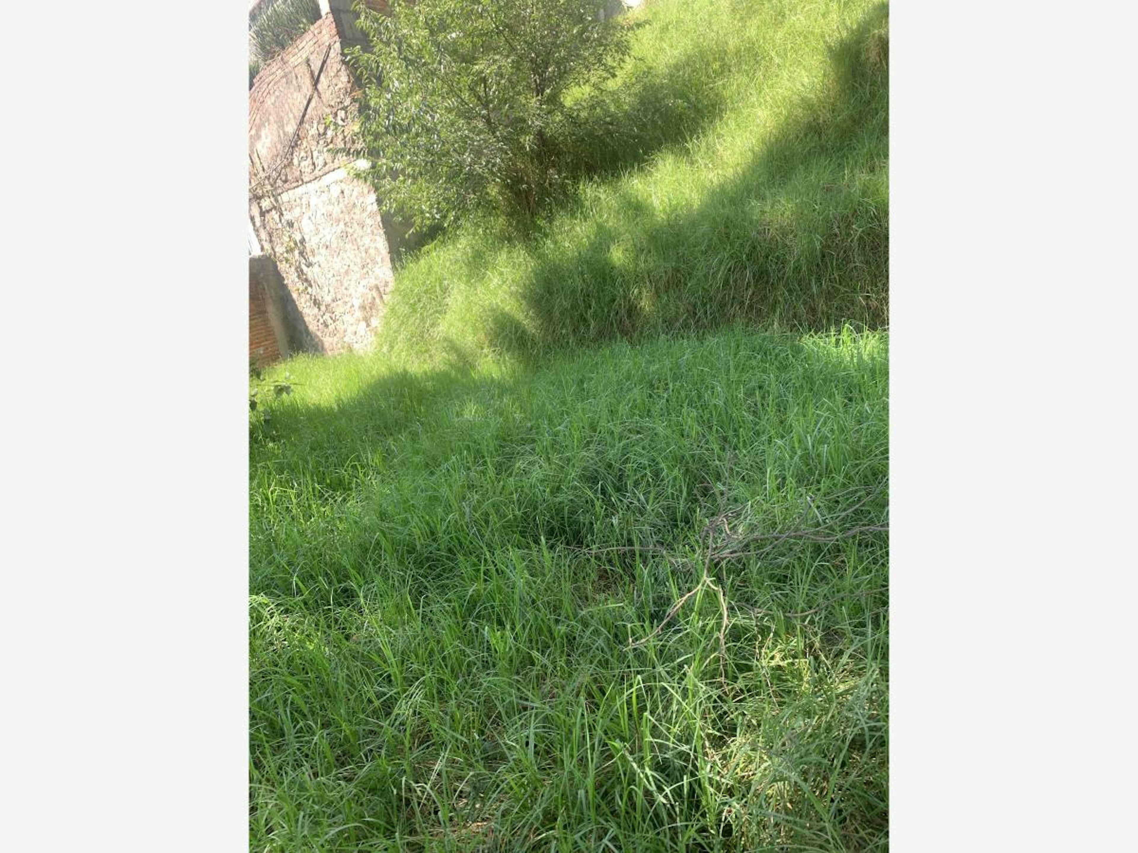 Terreno En Venta En San Bartolo Ameyalco, Álvaro Obregón, Ciudad De México