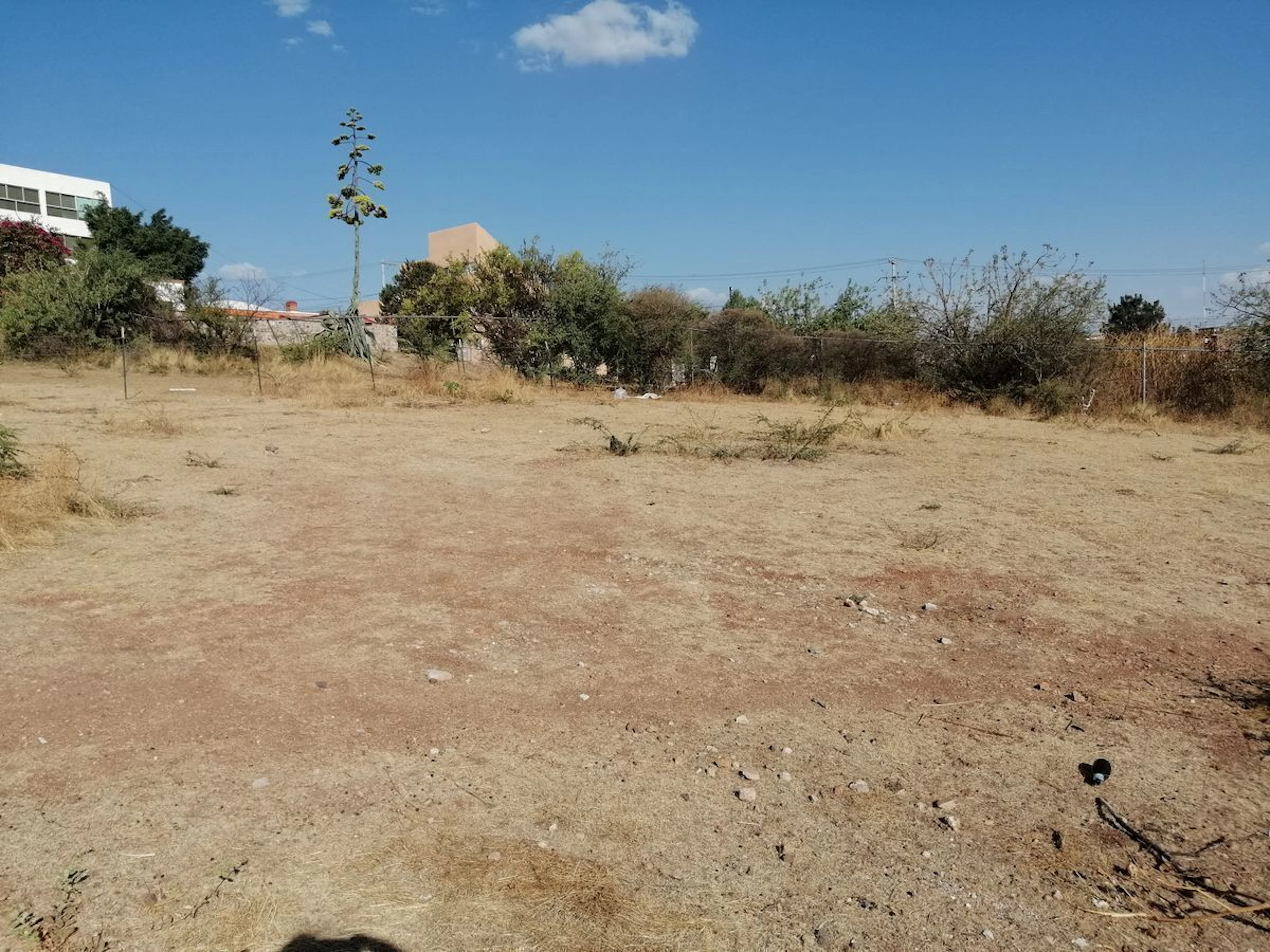 Terreno Spot2