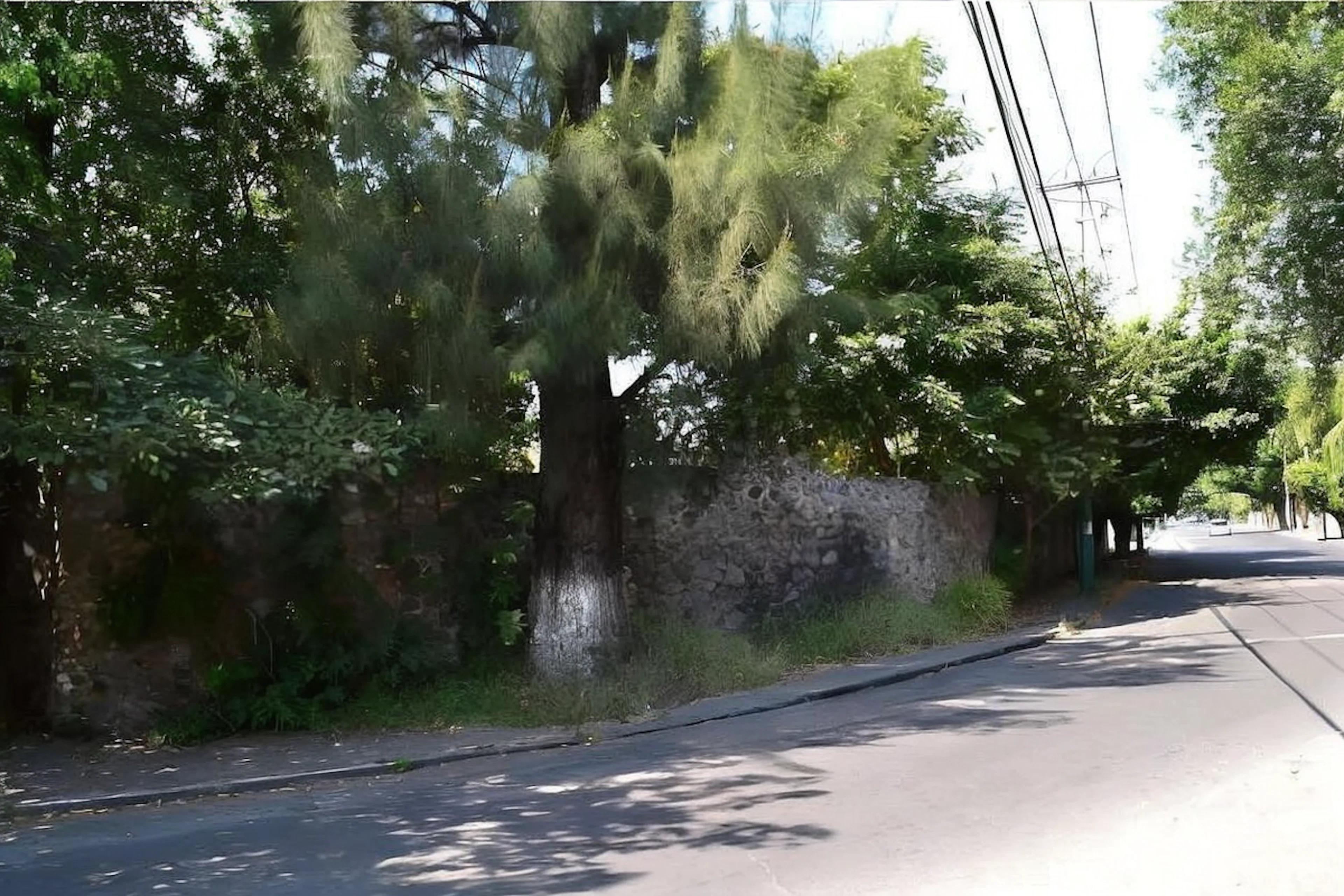 Terreno Spot2