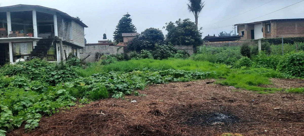 Terreno Spot2