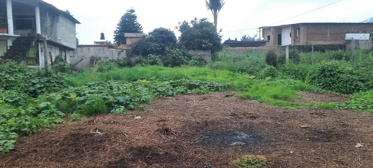 Terreno Spot2