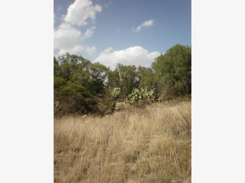 Terreno Spot2