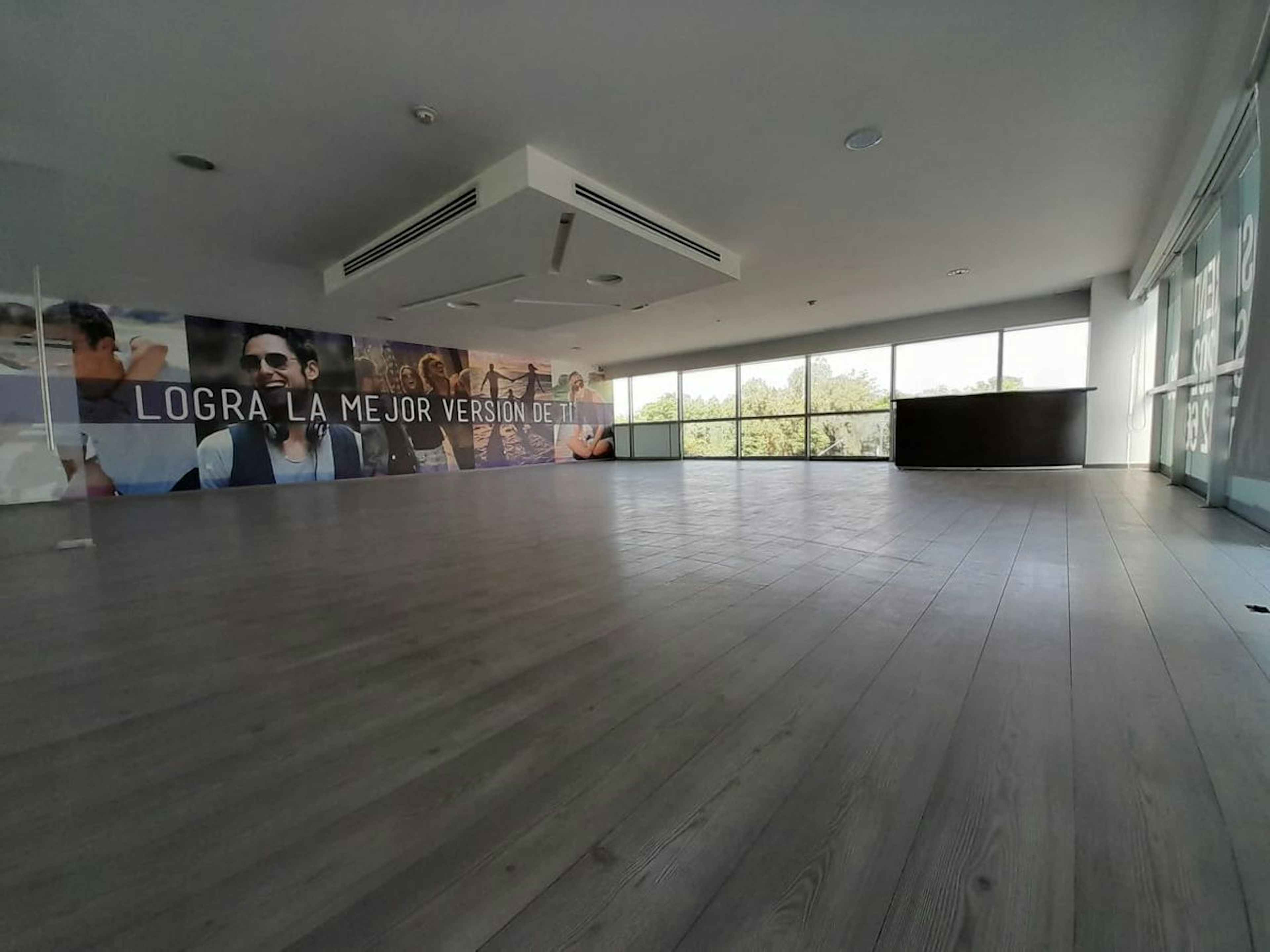 Avenida Paseo De Las Palmas