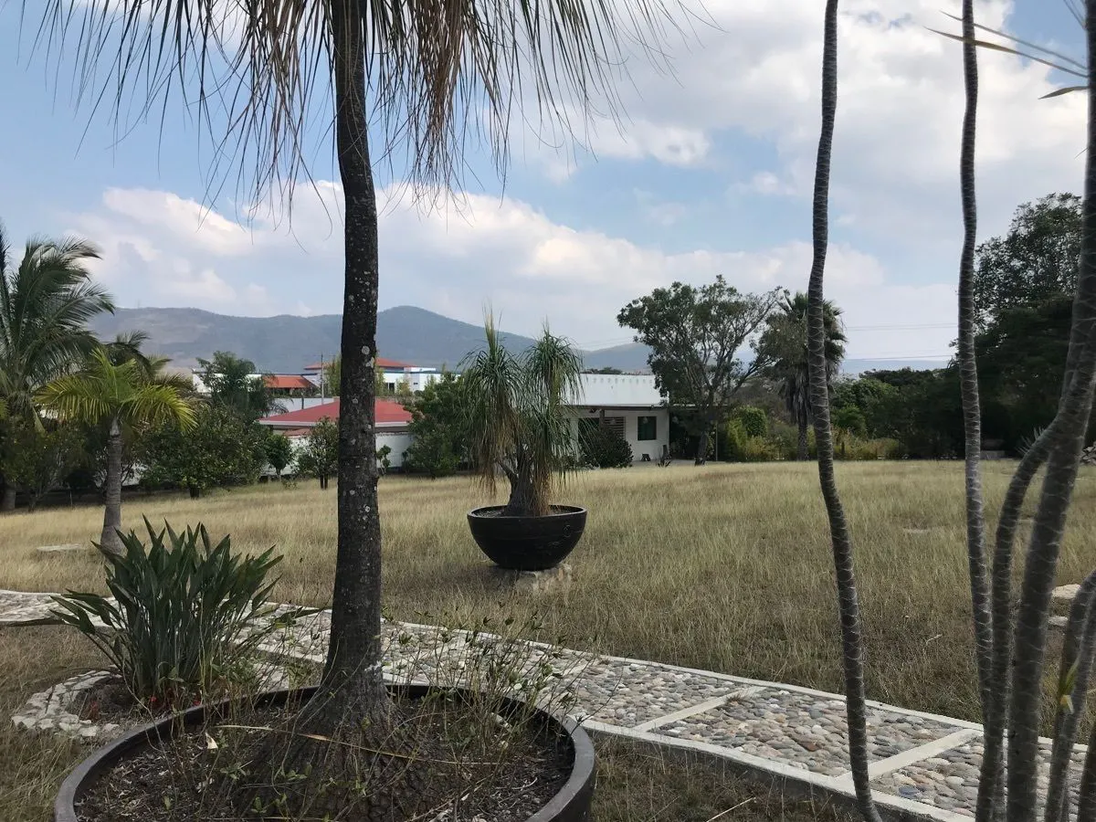 Terreno Spot2