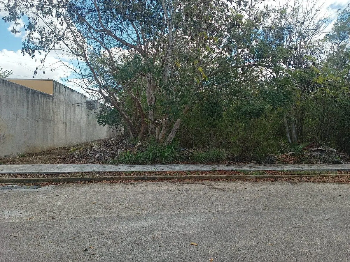 Terreno Spot2