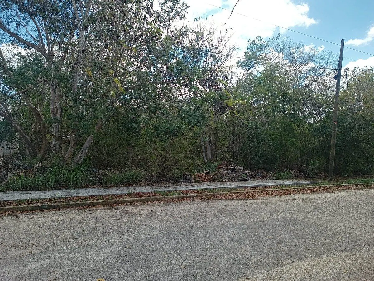 Terreno Spot2