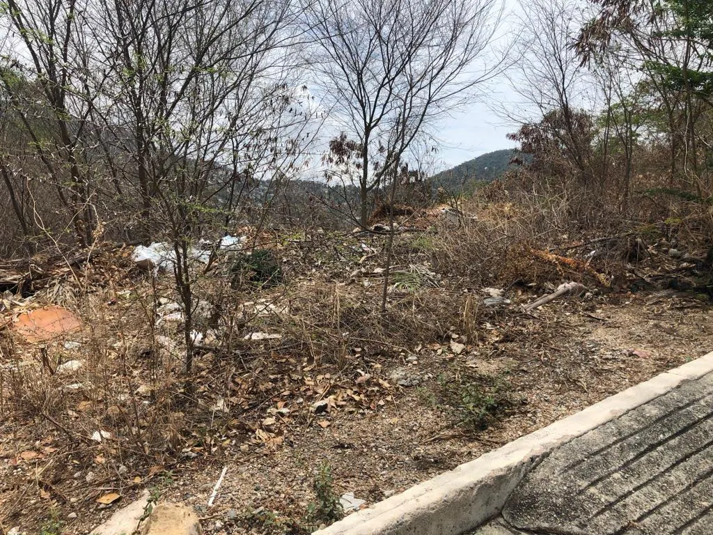 Terreno Spot2