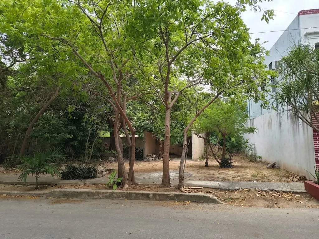 Terreno Spot2