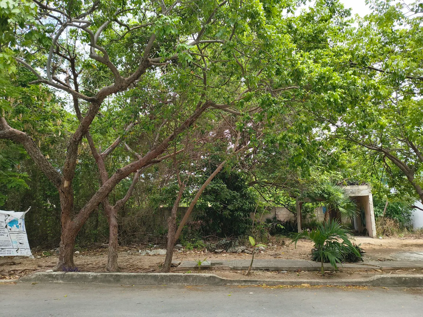 Terreno Spot2