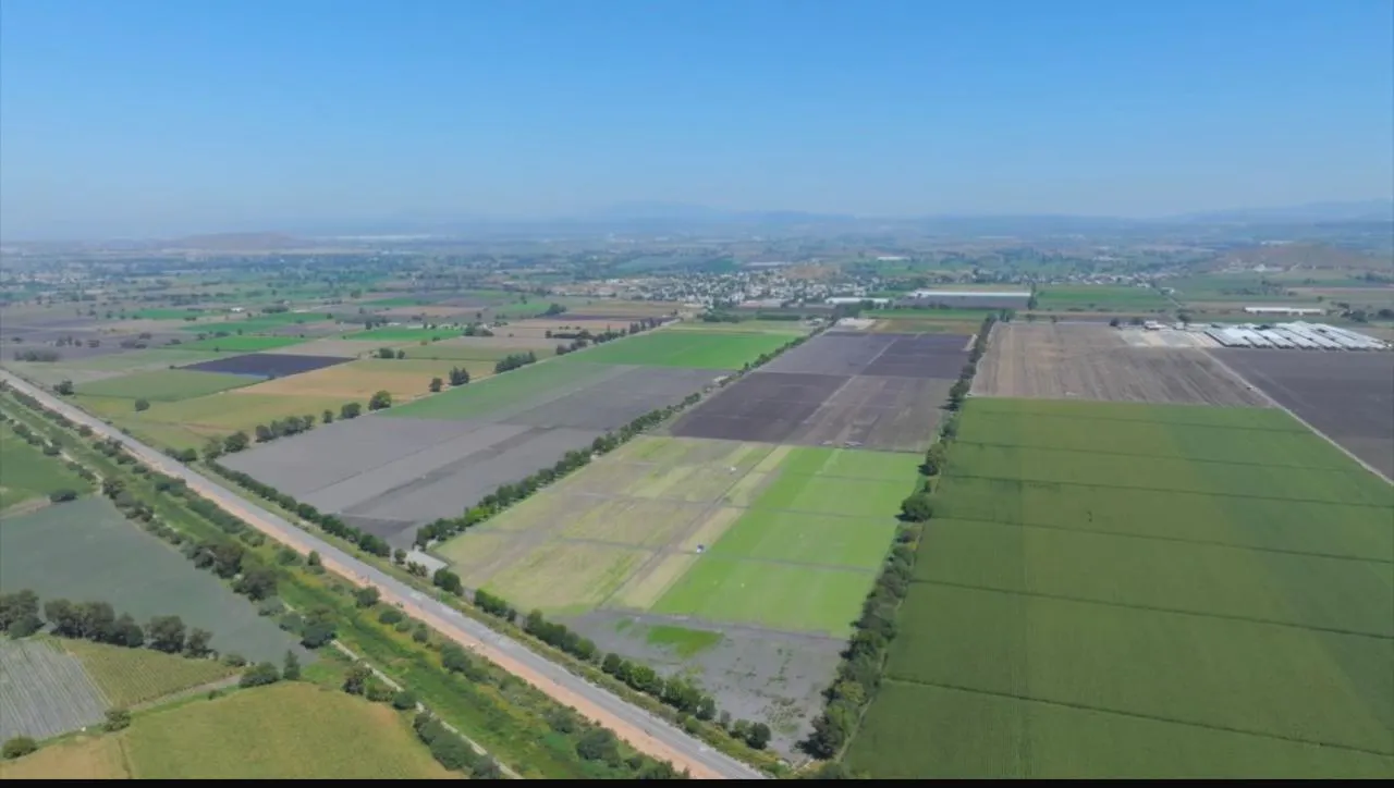 Terreno Spot2