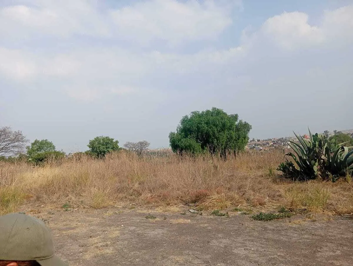 Terreno Spot2