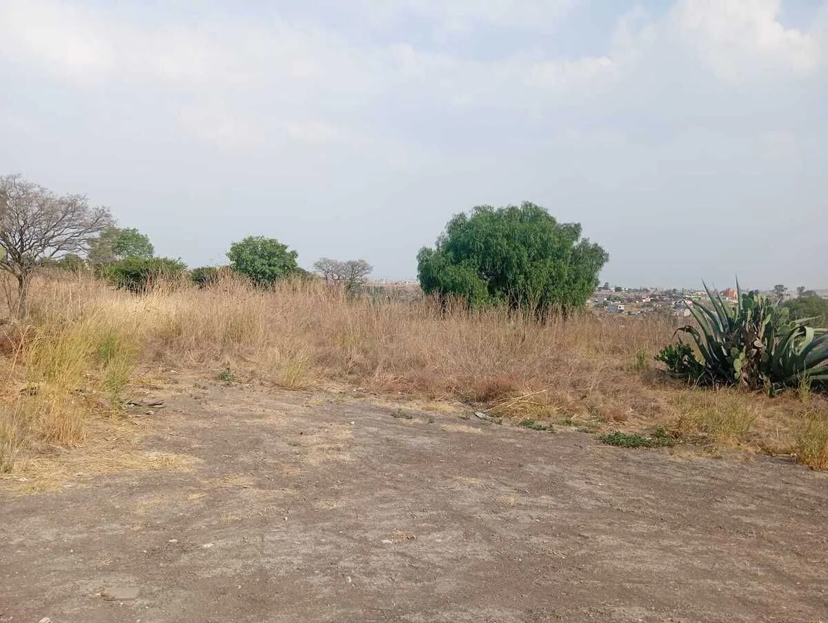 Terreno Spot2