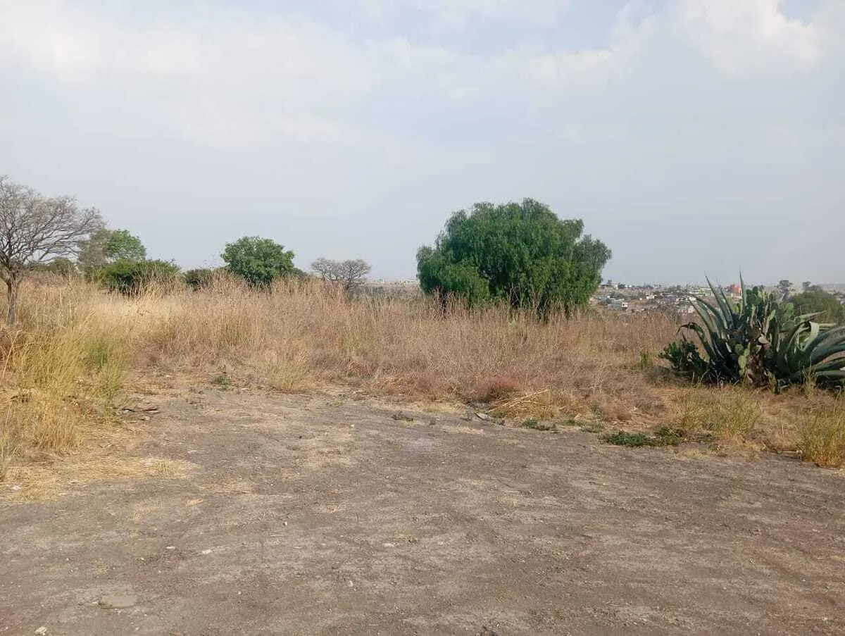 Terreno Spot2