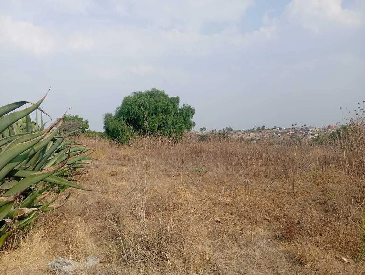 Terreno Spot2
