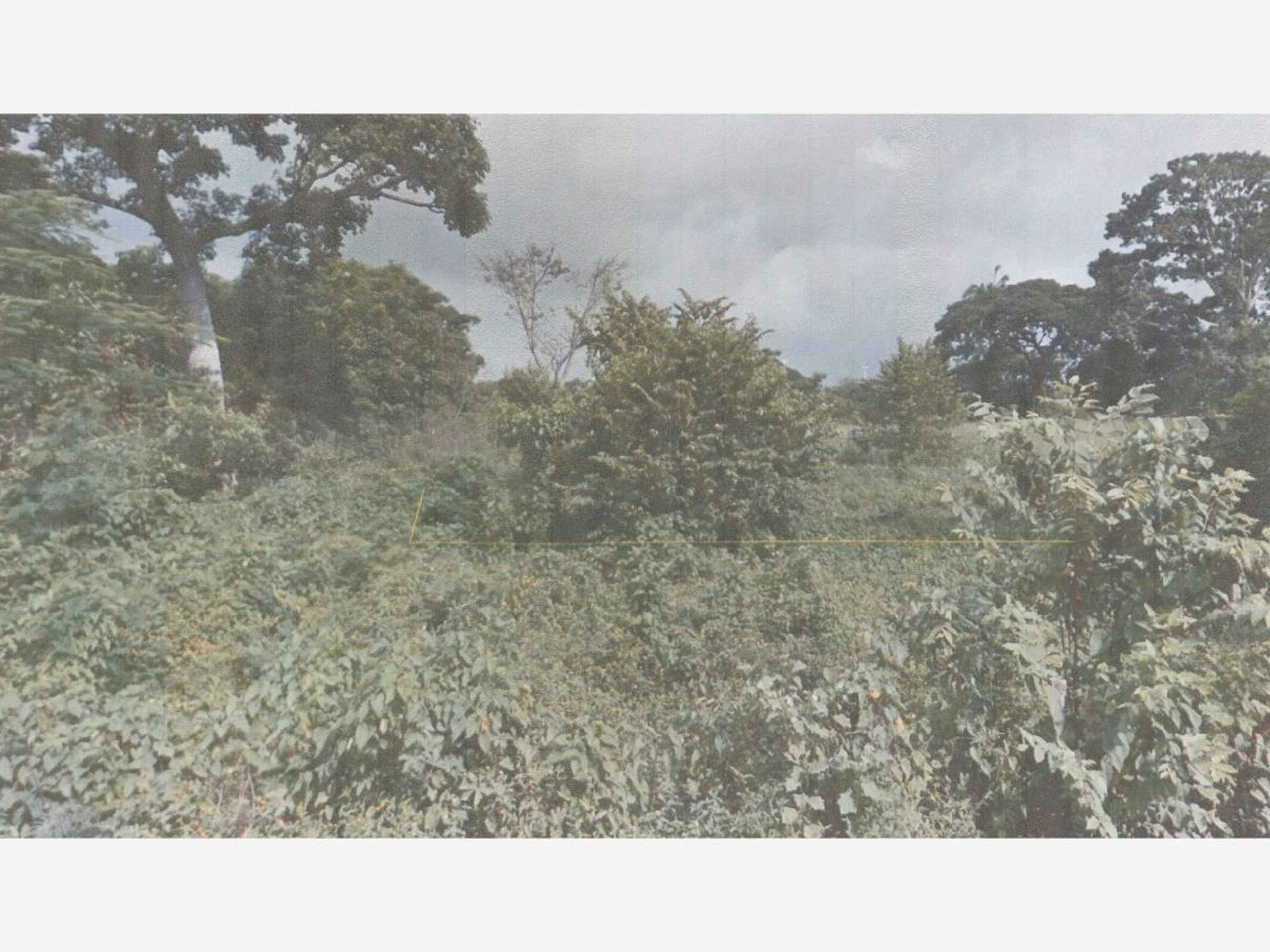 Terreno En Venta En Infonavit Loma Bonita, Cárdenas, Tabasco