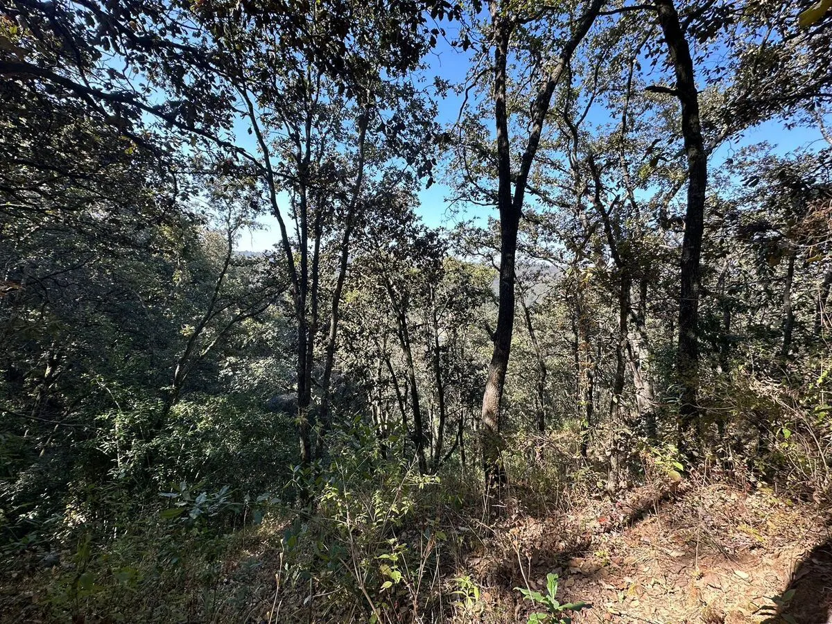 Terreno Spot2