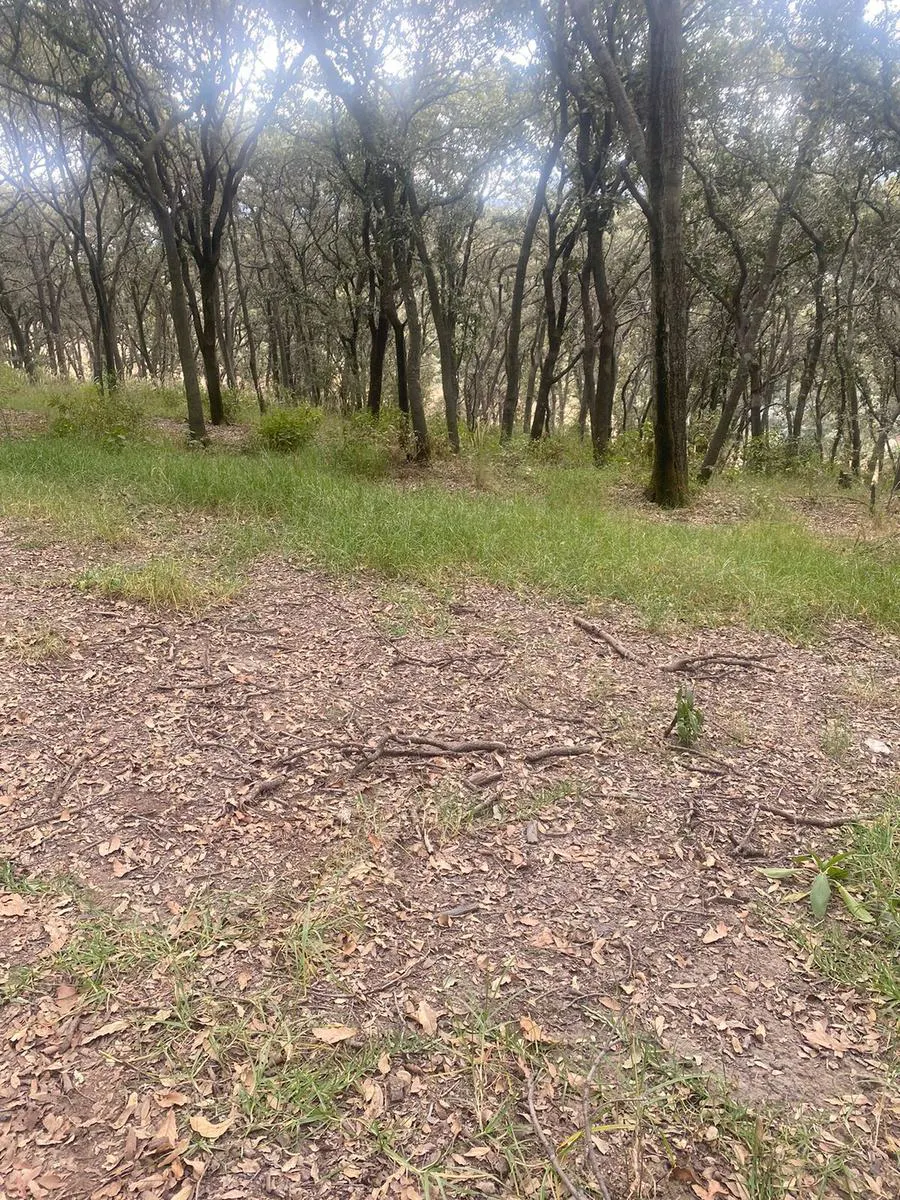 Terreno Spot2