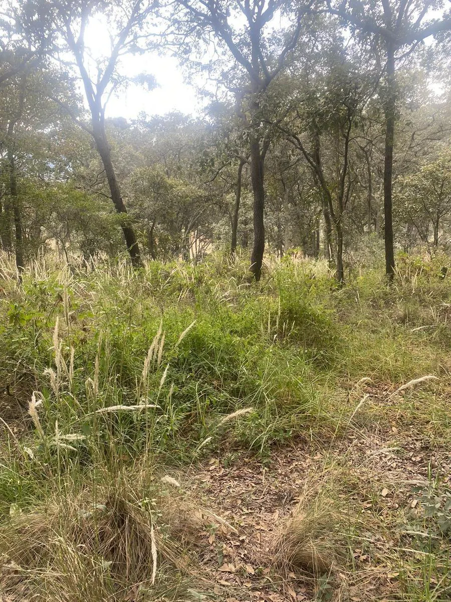 Terreno Spot2