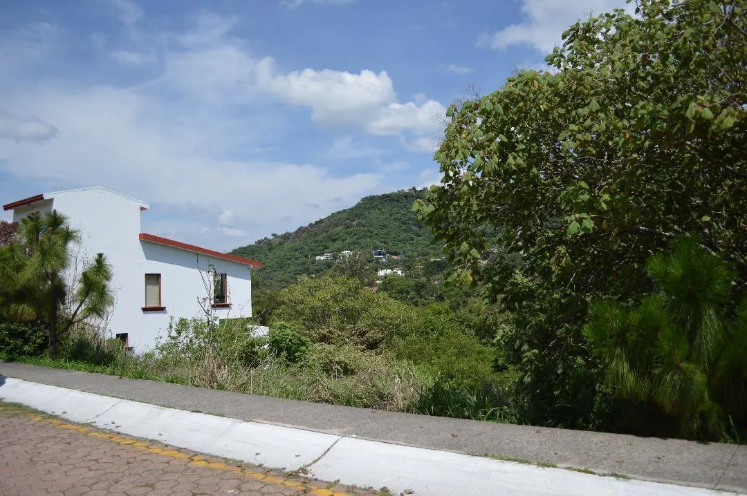 Terreno Spot2