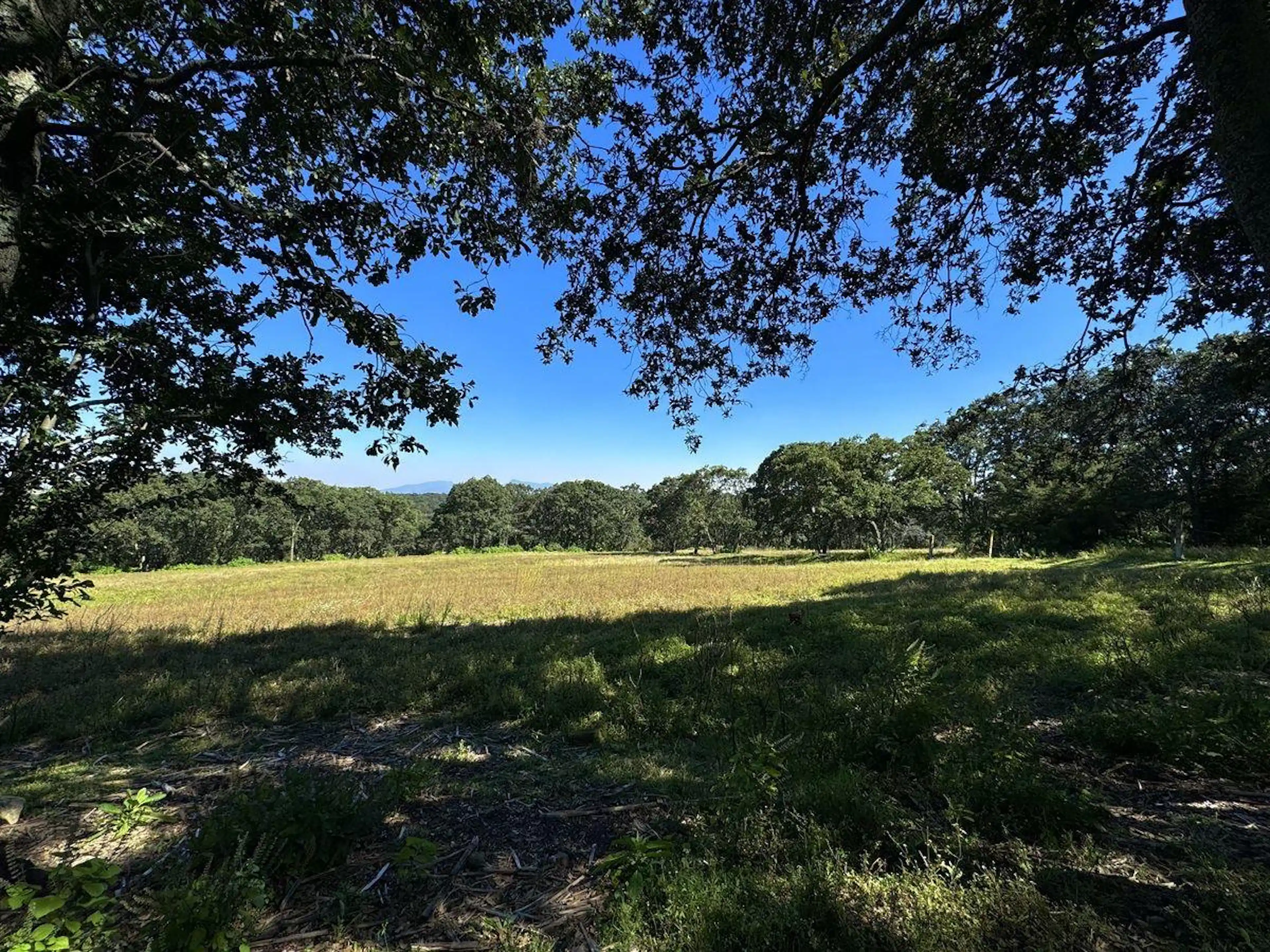 VENTA TERRENO EN LOS TEMAZCALES VILLA DEL CARBÓN