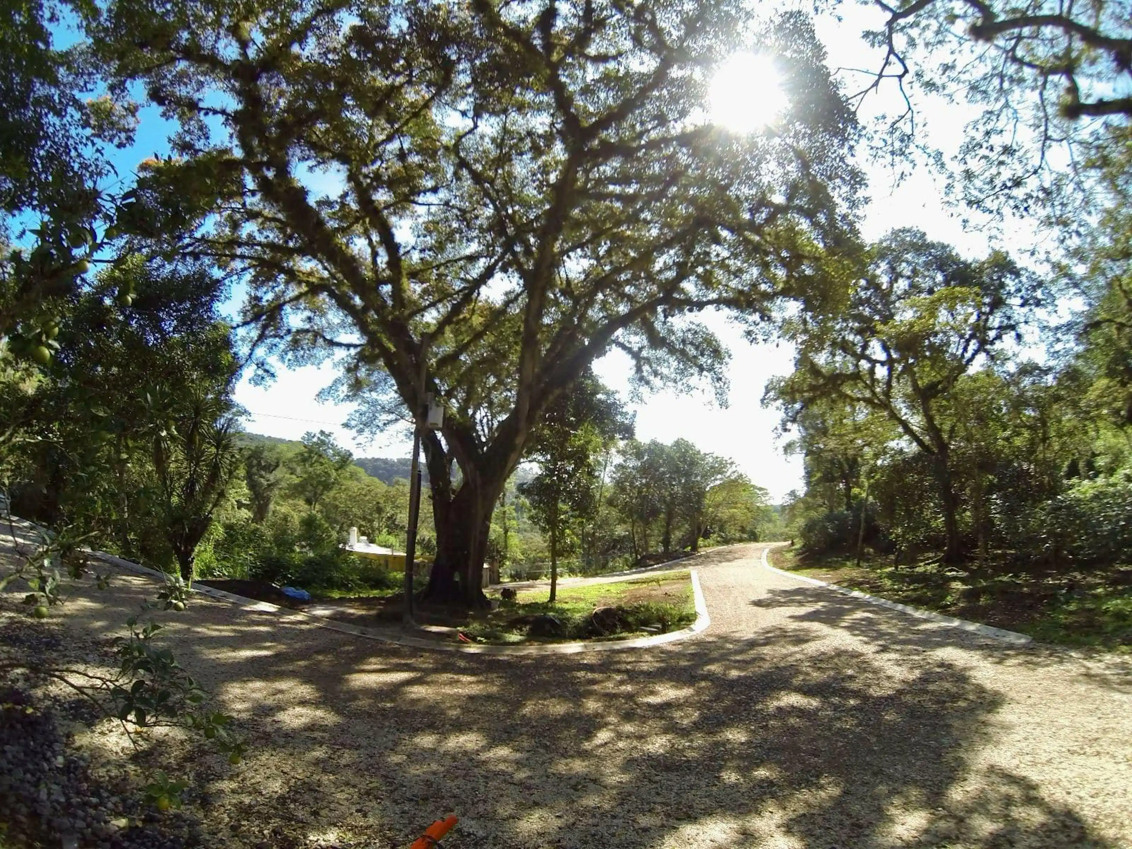 Terreno En Venta Consolapan Coatepec Veracruz Zona Briones Residencial Campestre