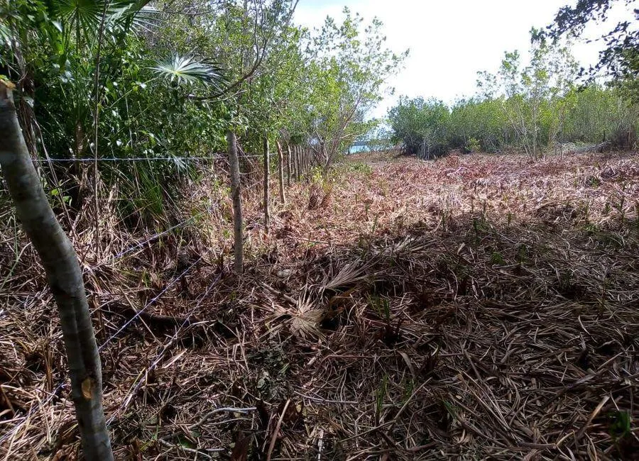 Terreno Spot2