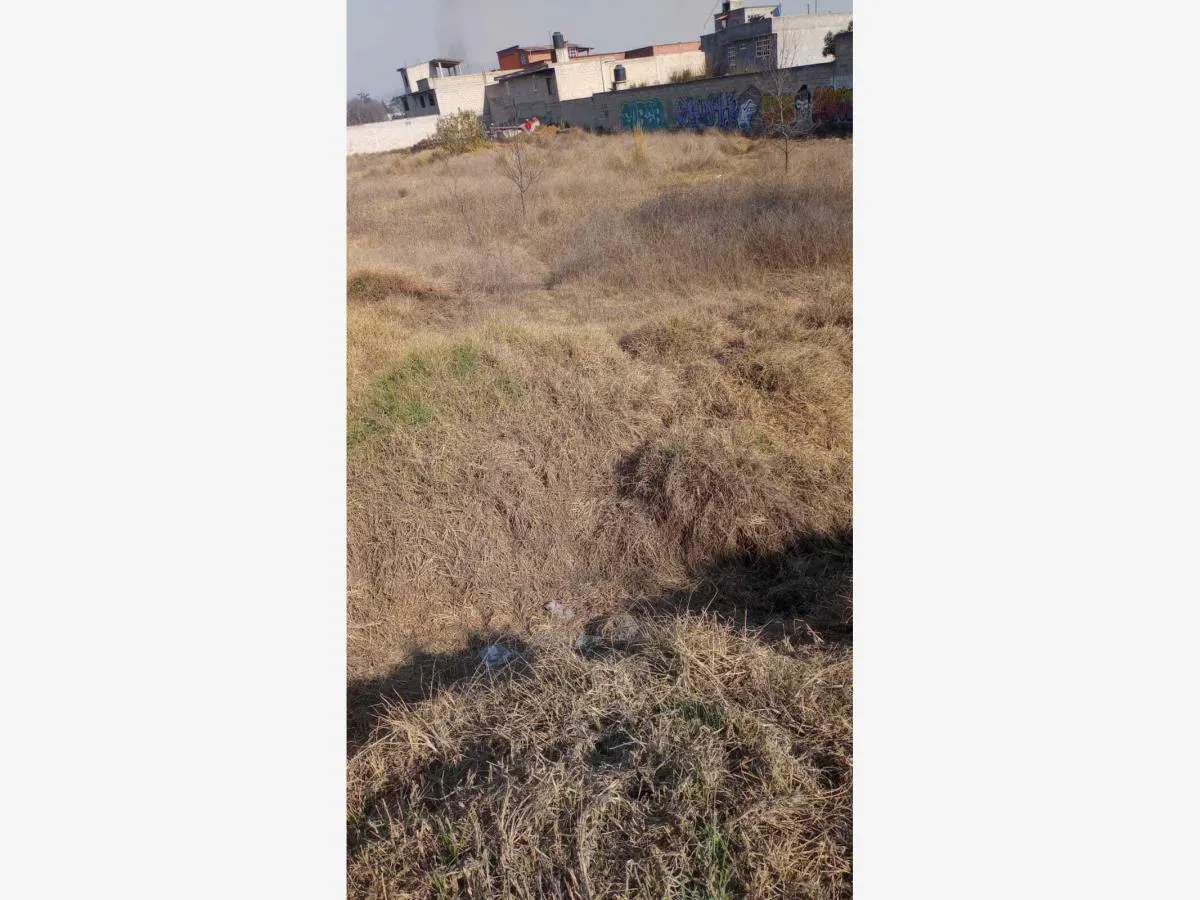 Terreno Spot2