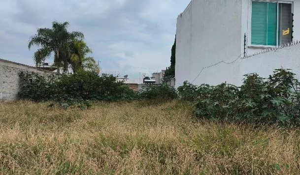Terreno Spot2