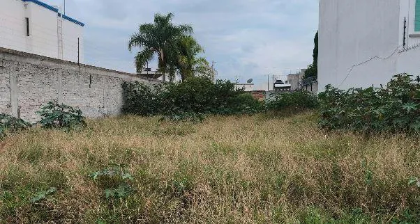 Terreno Spot2
