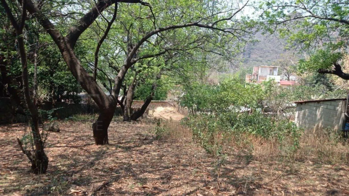 Terreno Spot2