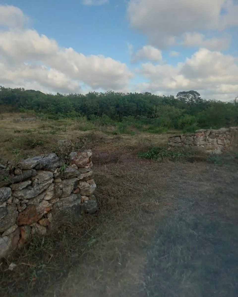Terreno Spot2