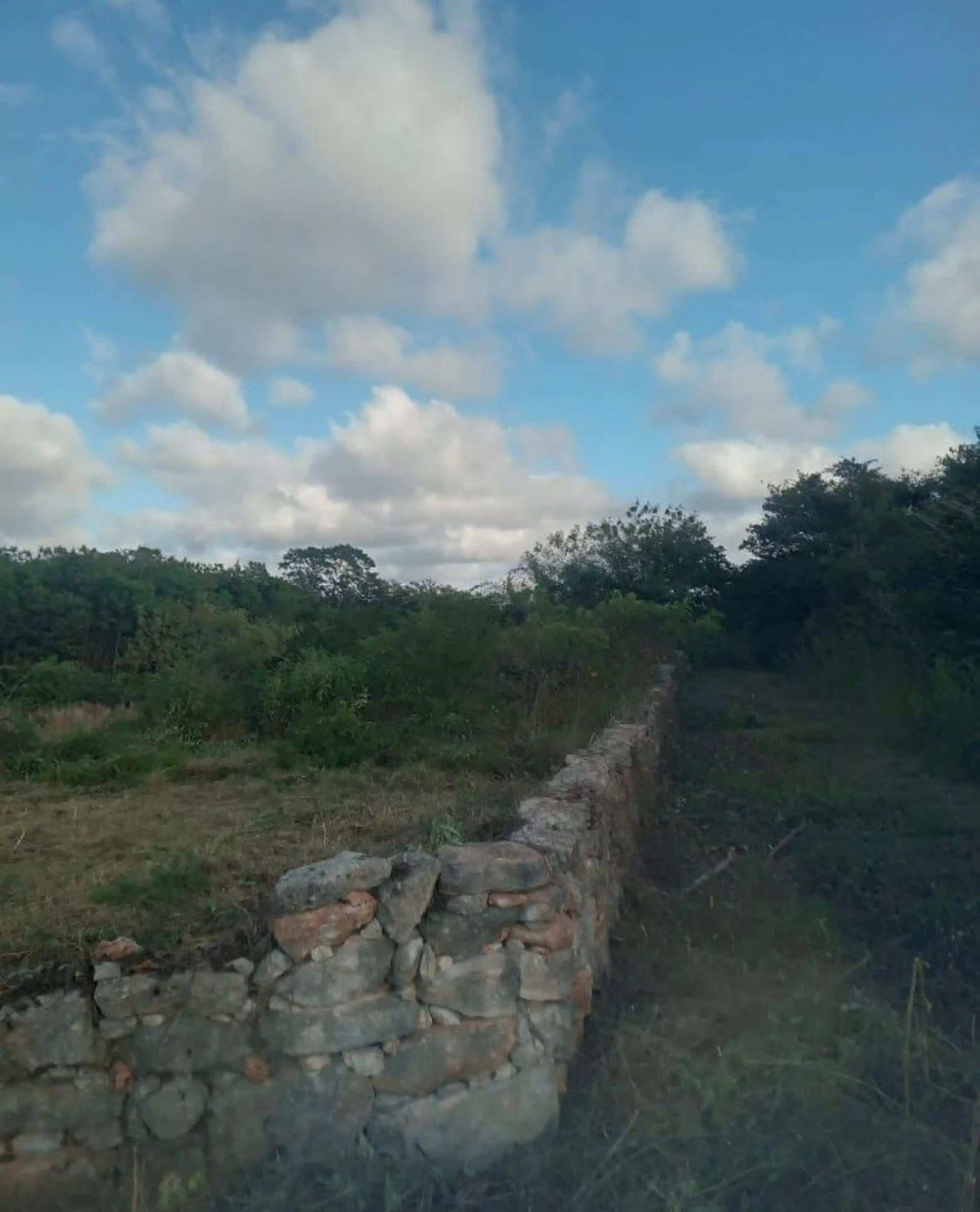 Terreno En Venta En Mococha-yucatan