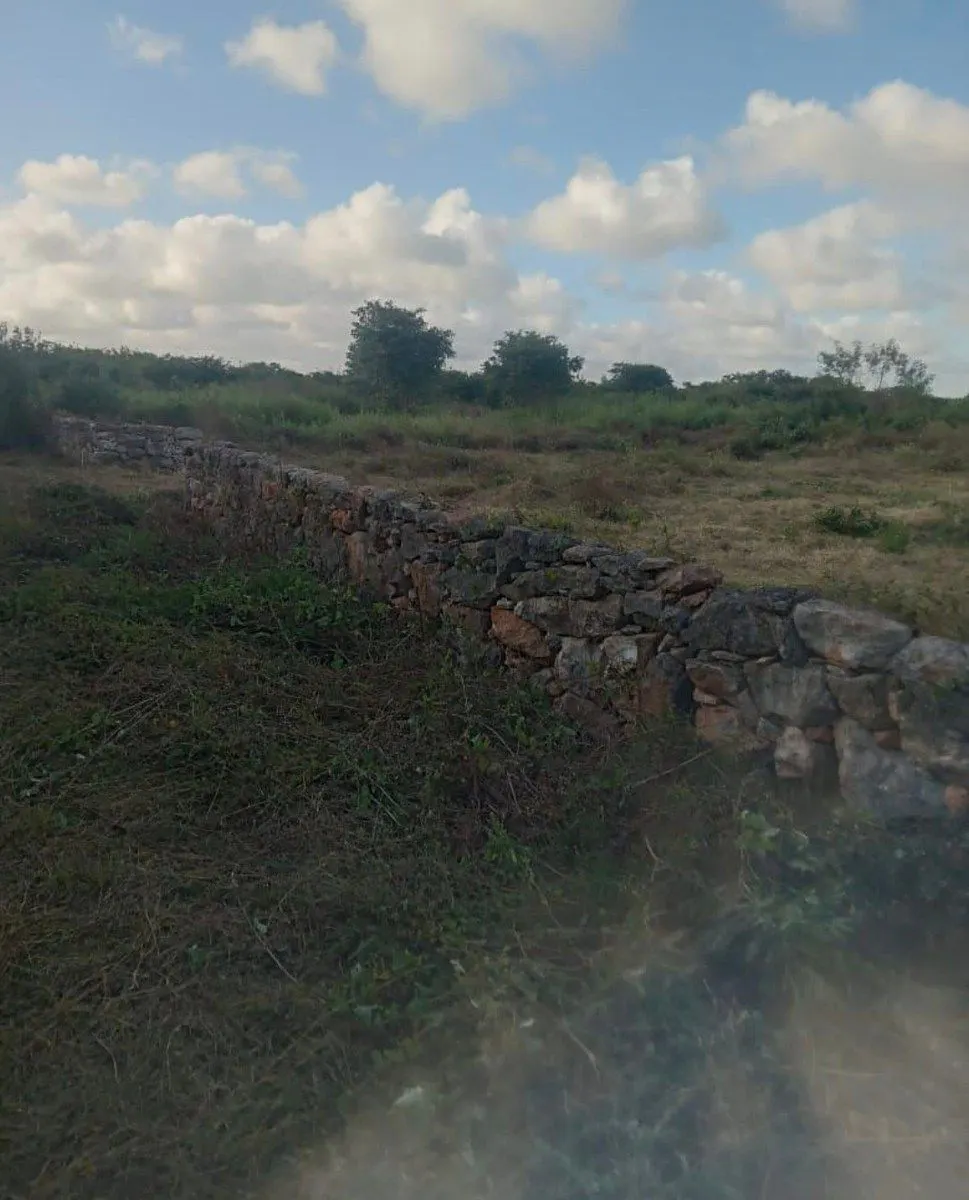 Terreno Spot2