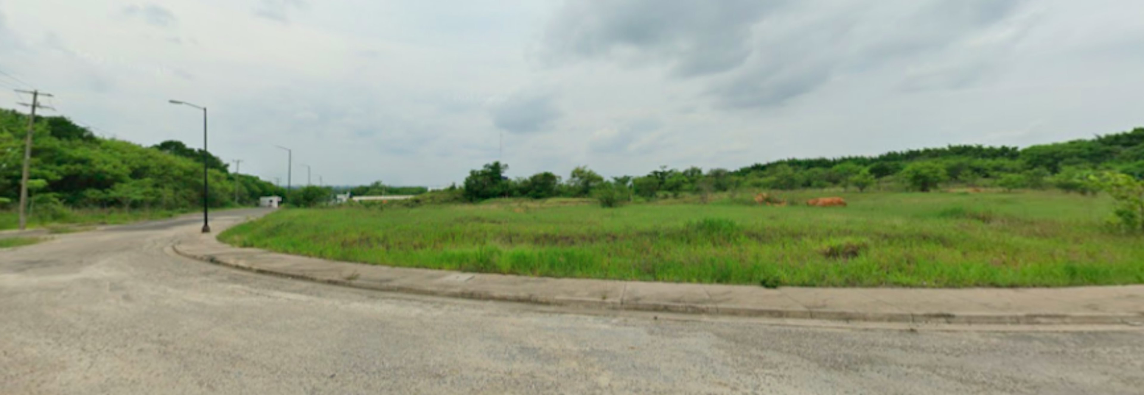 Parque De Negocios: Colinas Del Sureste-photo