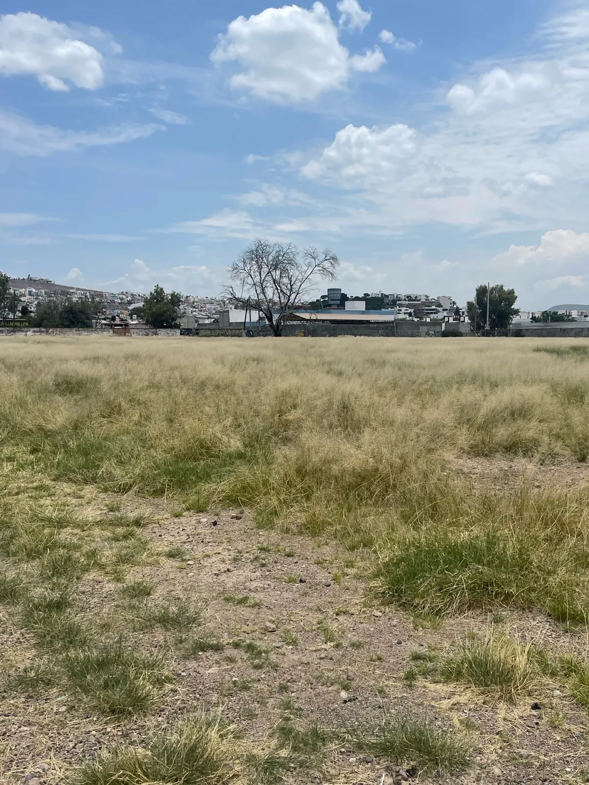 Terreno Spot2