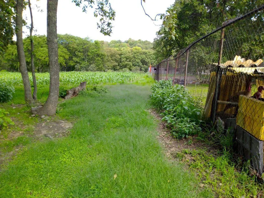Terreno Spot2
