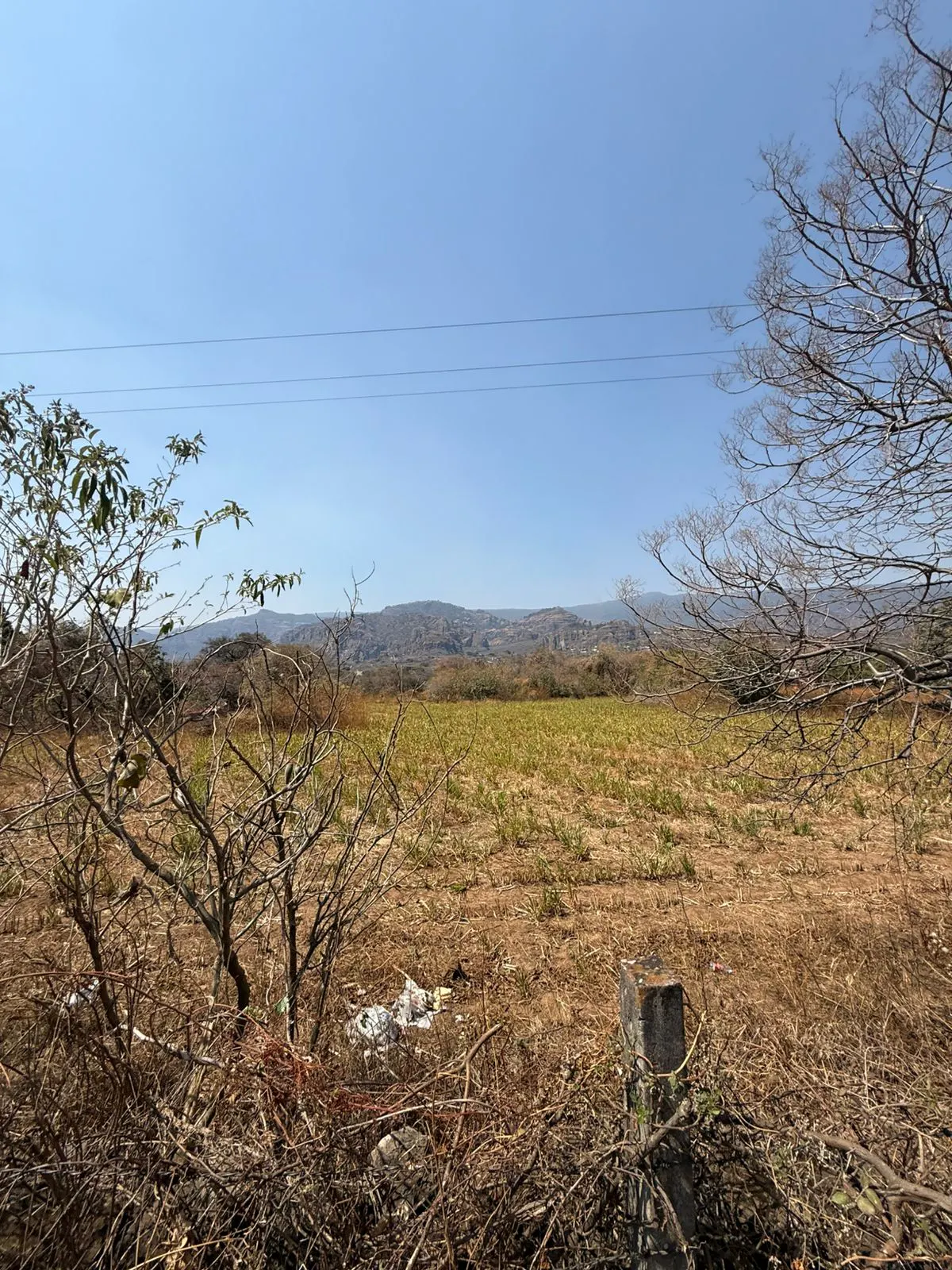 Terreno Spot2