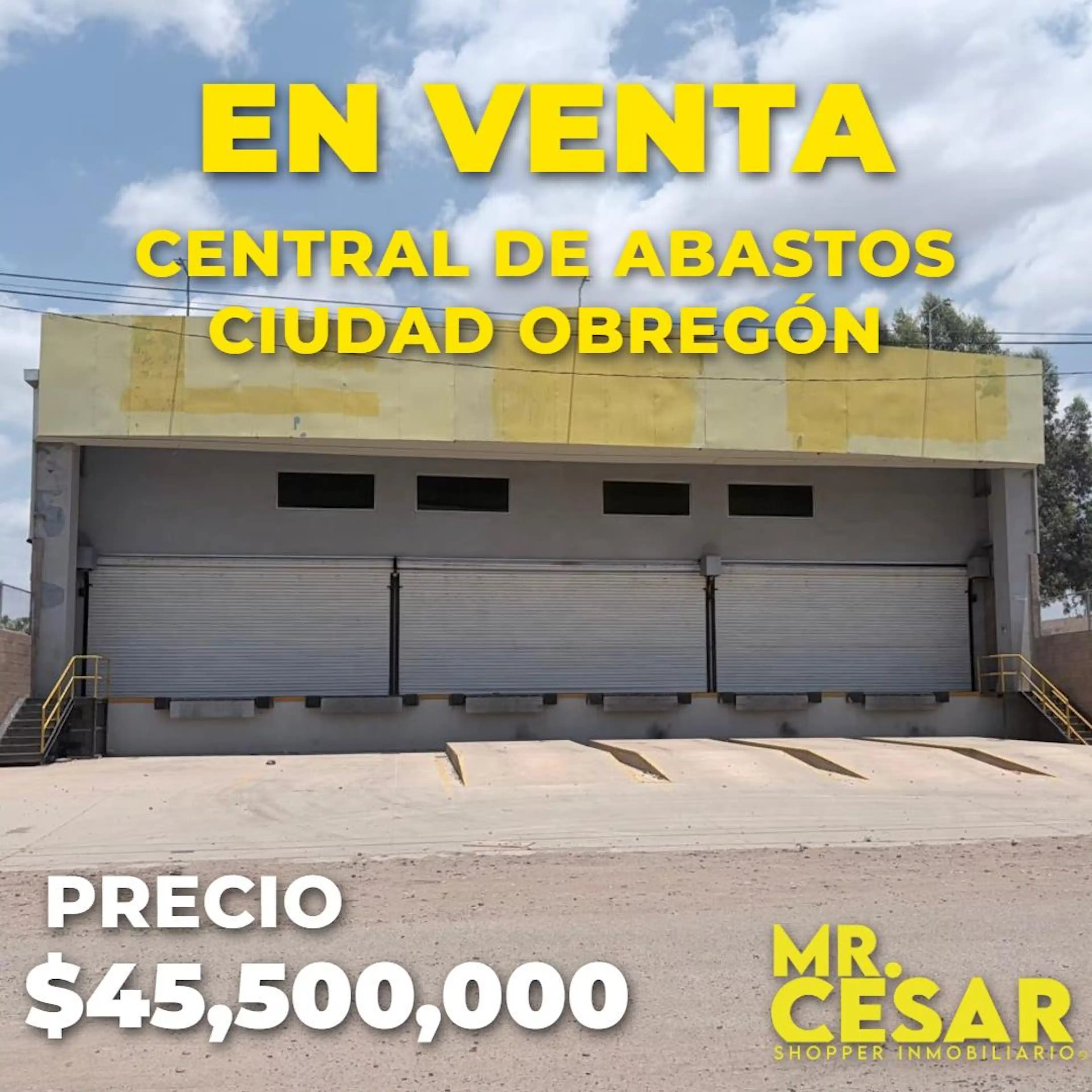 Bodega en Central de Abastos Ciudad Obregón
