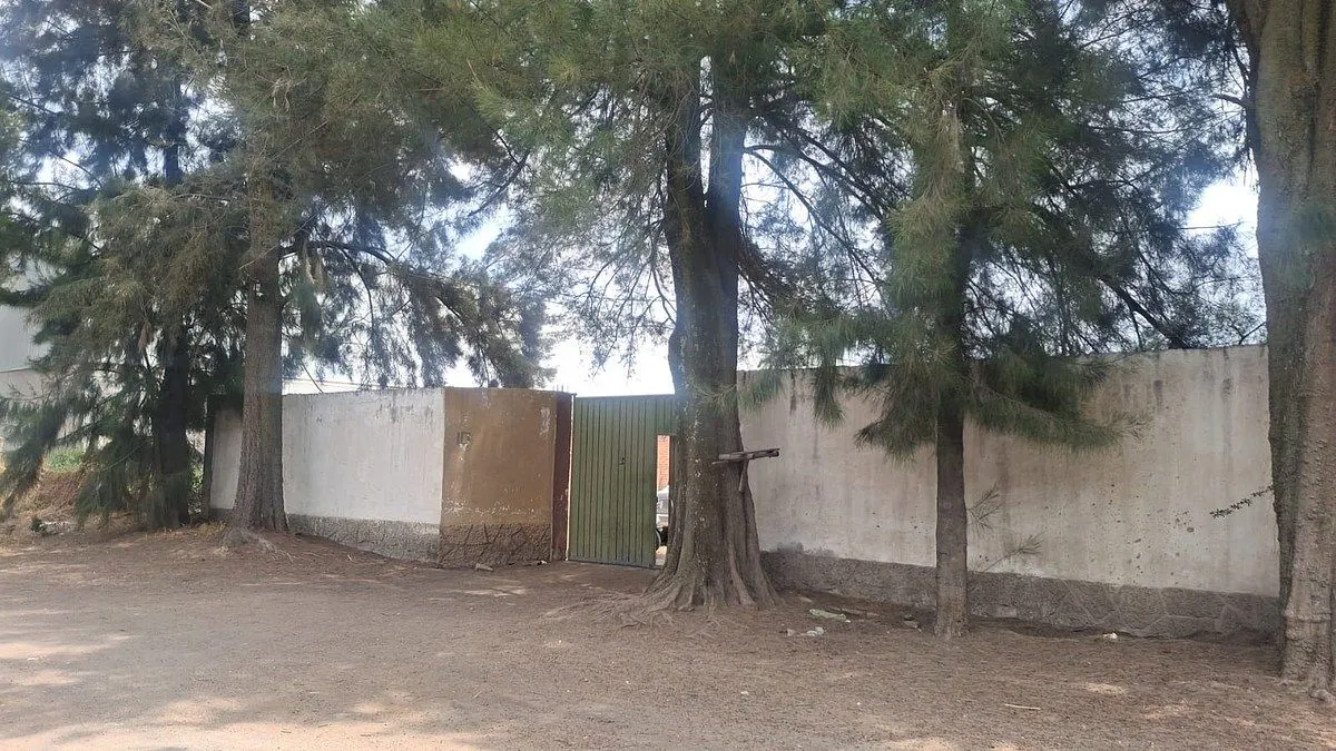 Terreno Spot2