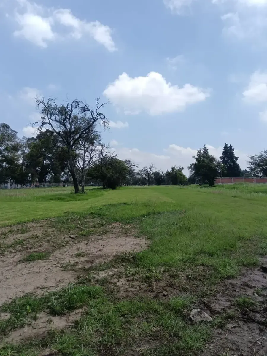 Terreno Spot2