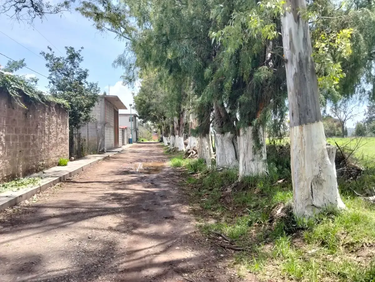 Terreno Spot2