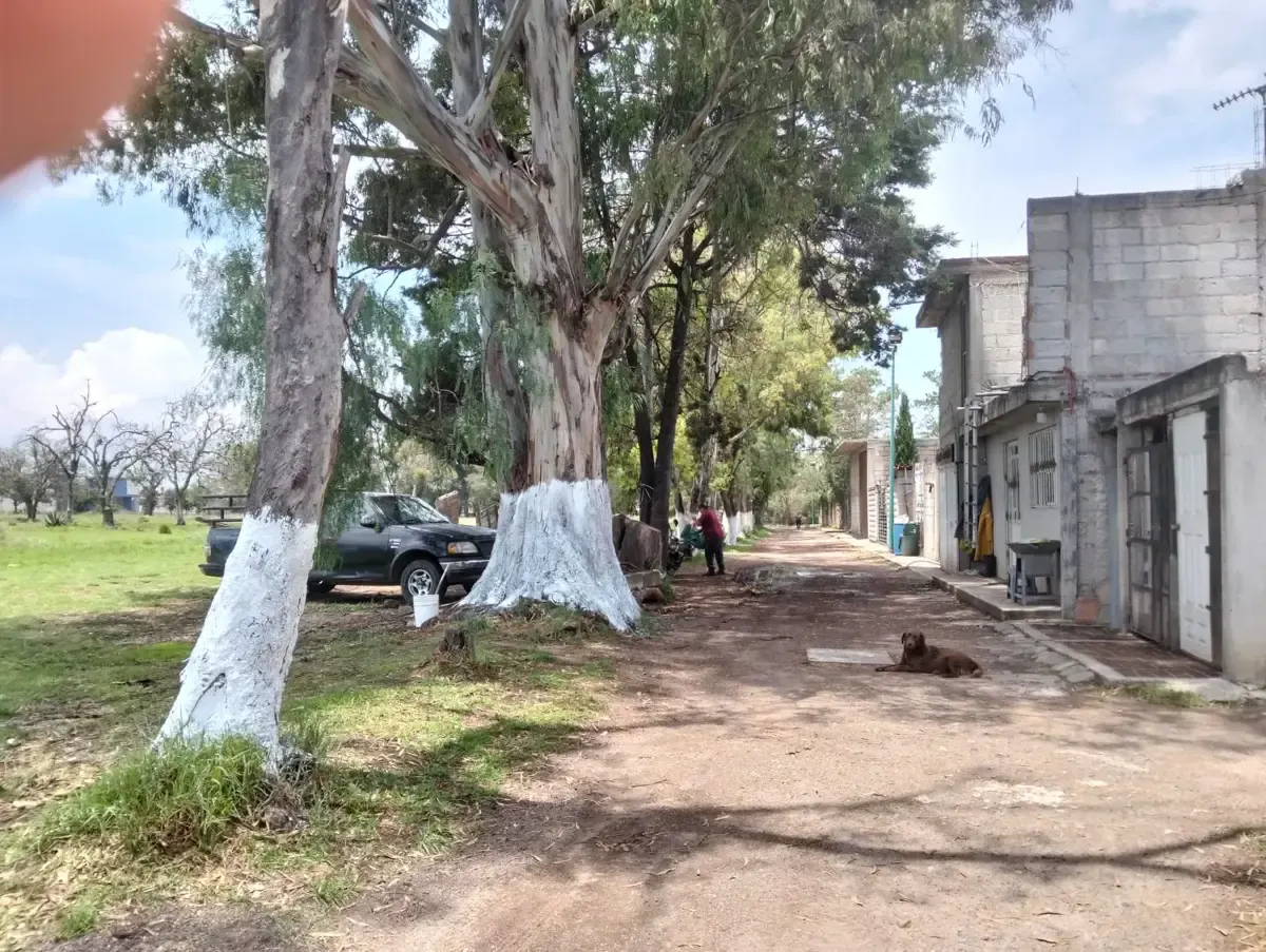 Terreno Spot2