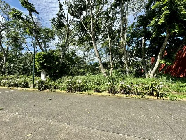 Terreno Spot2