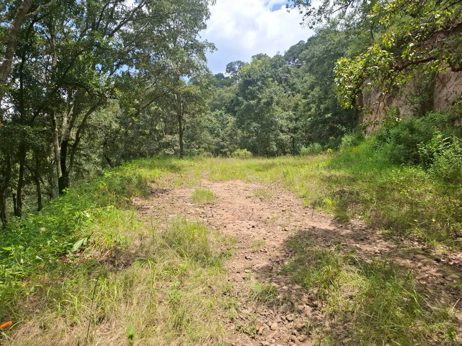 Terreno Spot2
