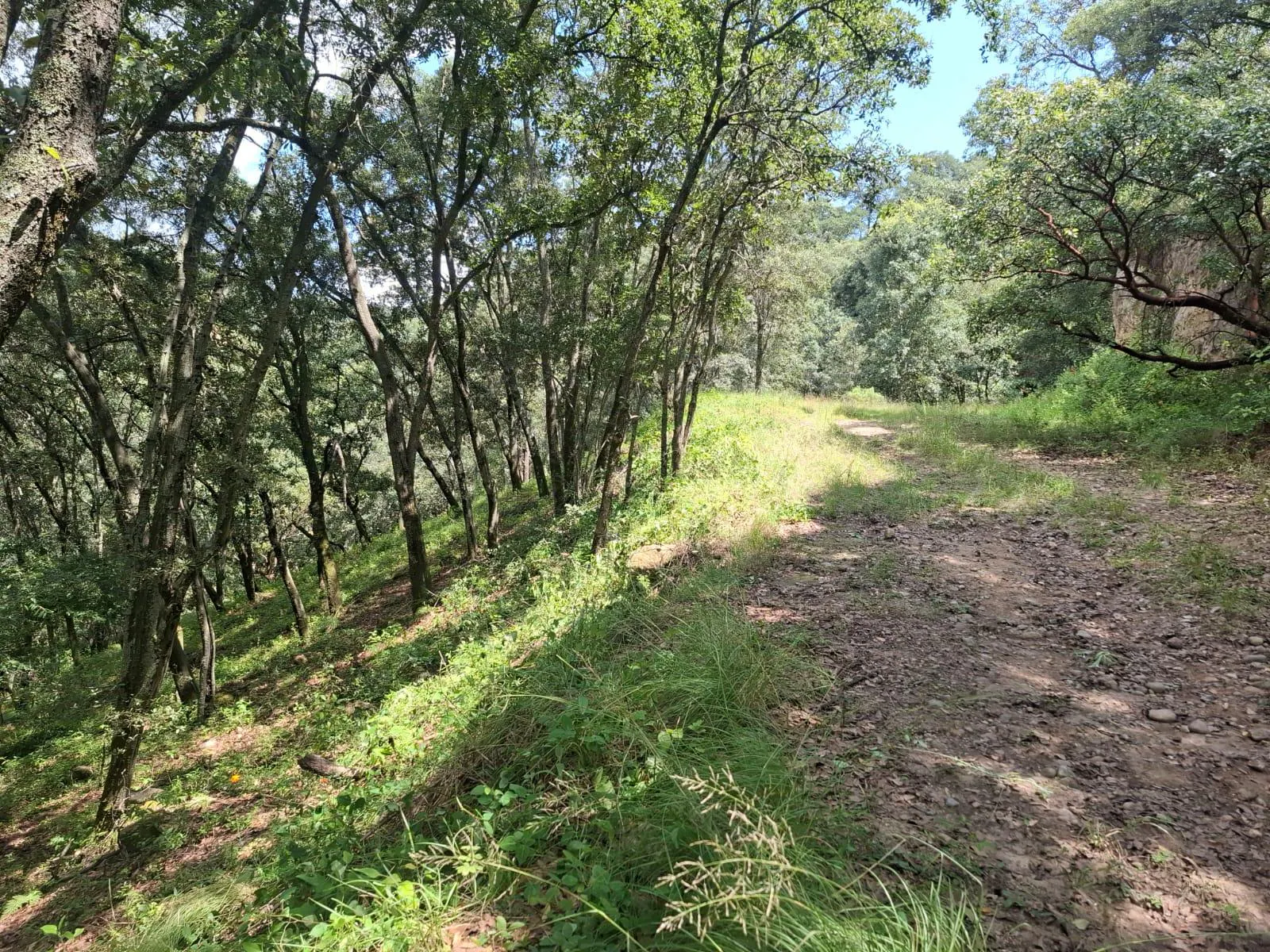 Terreno Spot2